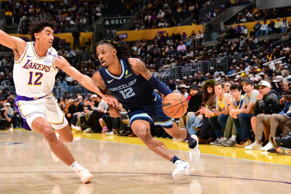 了专业建议 了专业建议